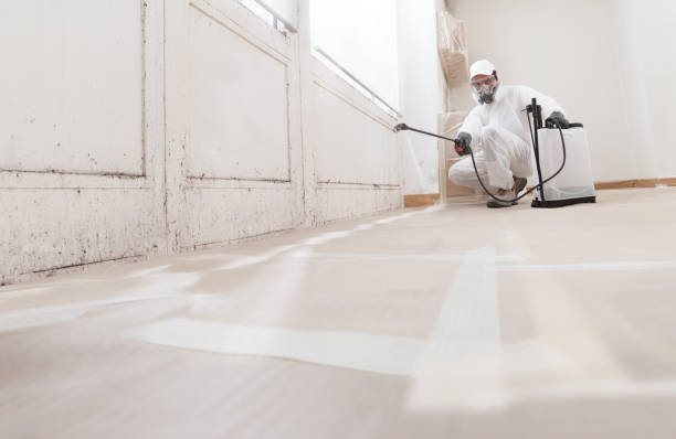 24/7 Emergency Black Mold Removal experts in Middletown, MD