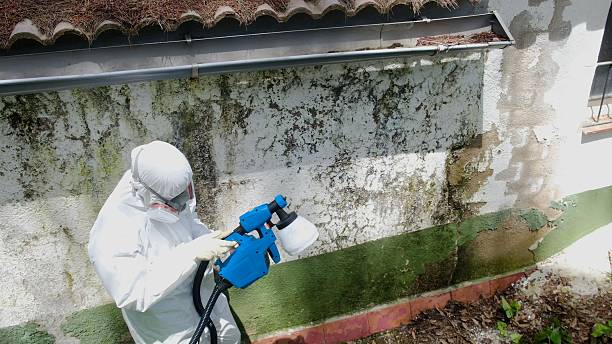 Trusted Commercial Mold Remediation service in Middletown, MD - Cheap Mold Removal
